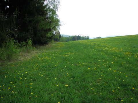 Foto 57